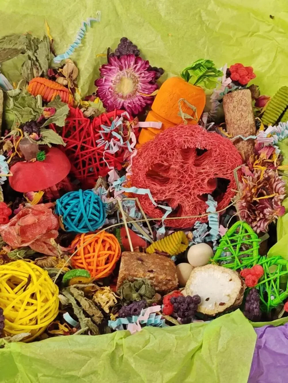 Play & Chew Fun  